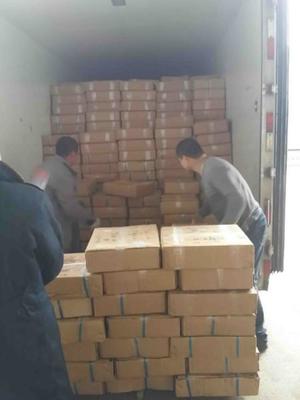 吳中區搬運裝卸服務優選指南 專業、高效、一呼百應